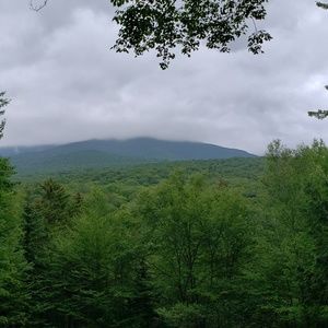 Meet your Posher, Leon